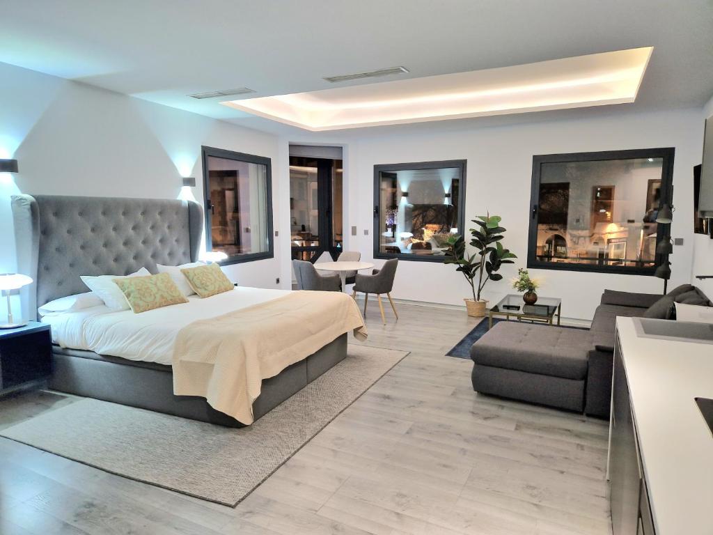 1 dormitorio con 1 cama y sala de estar en Plasencia Plaza Mayor Luxury, en Plasencia