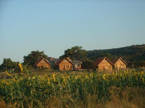un grupo de casas en un campo de flores en El Muerdago de Cañada, en Cañada del Hoyo