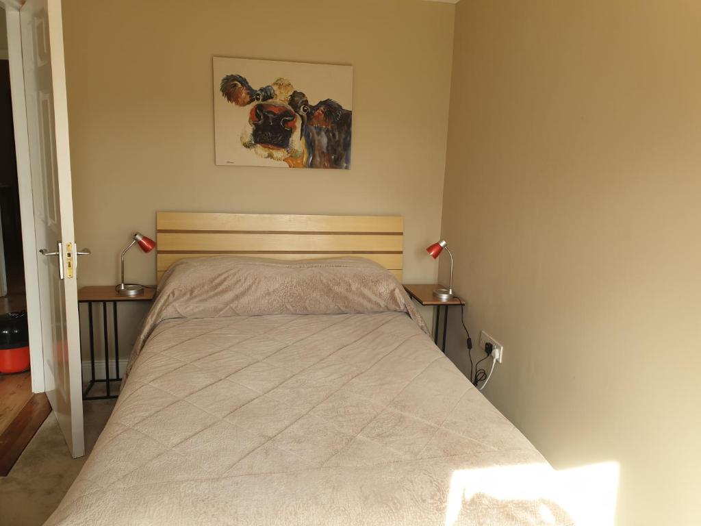 Kilkenny City Apartment, Kilkenny Updated 2023 Prices