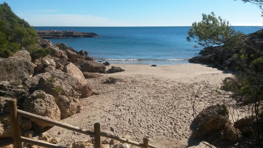 Príroda v okolí apartmánu