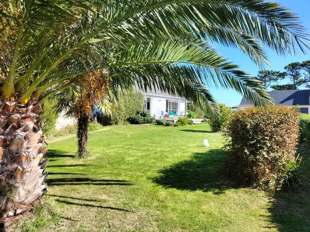 a palm tree in front of a house at Calme et lumière à 2 pas de la mer in Plouescat