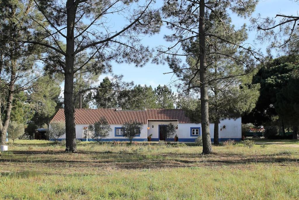 ein weißes Haus mit rotem Dach und Bäumen in der Unterkunft Casa do Pinheiro in Alcácer do Sal