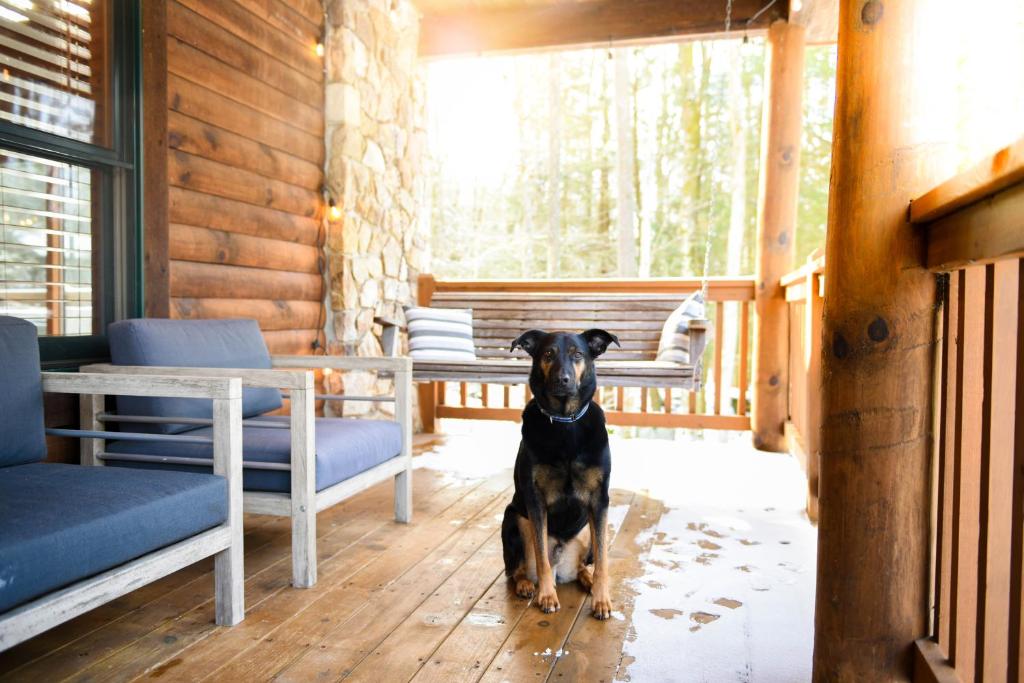 Domácí mazlíčci ubytovaní s hosty v ubytování Jamesons Cabin! 8 Minutes to Wisp, HotTub, FirePit, Pets, EV Chgr