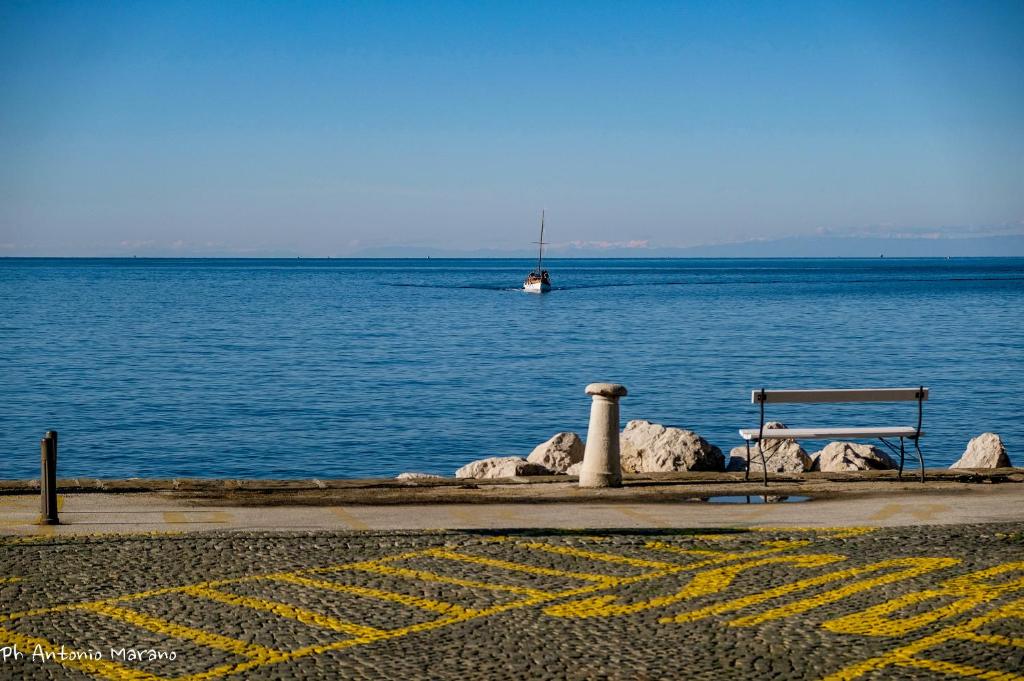 Příroda nedaleko apartmánu