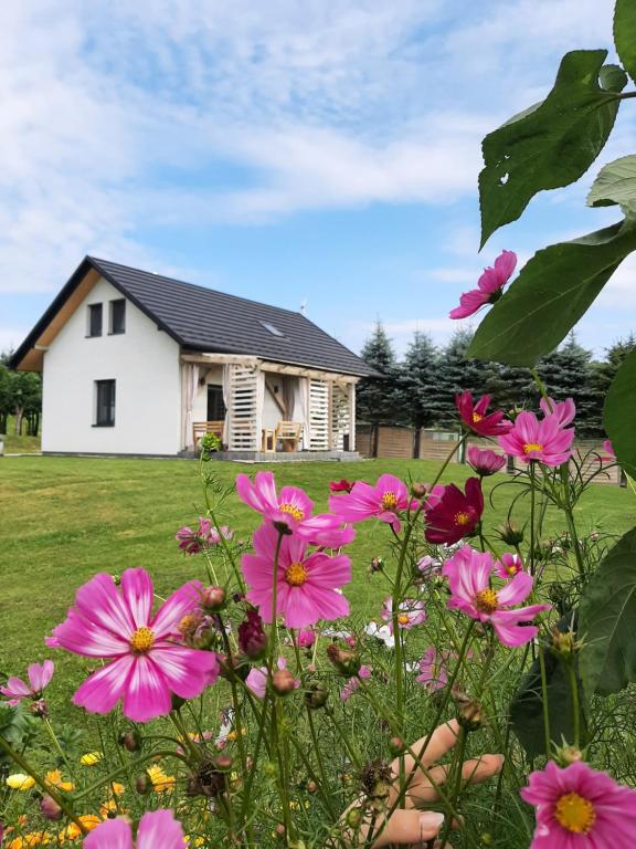 une maison blanche avec des fleurs roses devant elle dans l'établissement Bieszczadzkie Niebo, à Stefkowa