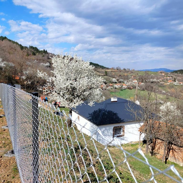 Priroda u blizini vikendice