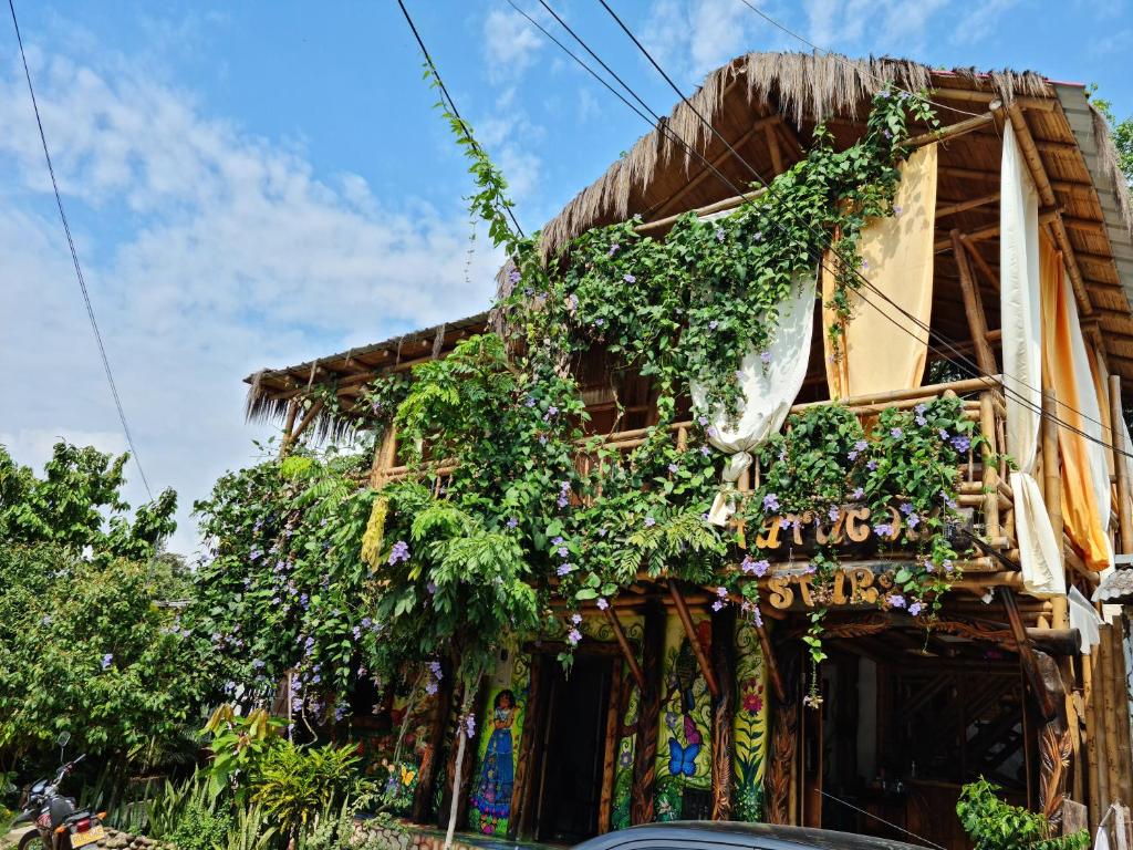 ein Haus mit Pflanzen, die seitlich wachsen in der Unterkunft Tatacoa Star Eco Hotel in Villavieja