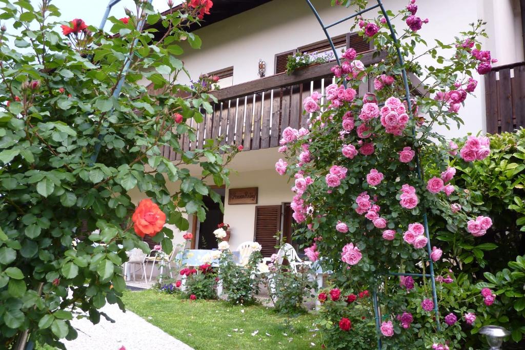 um jardim com rosas cor-de-rosa, mesas e cadeiras em Garni Rebhof em Nalles