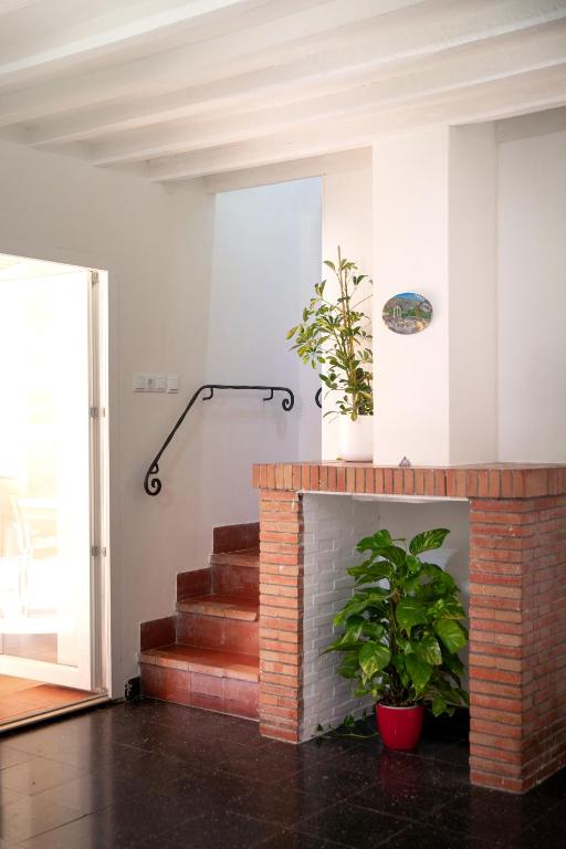 Fotografie z fotogalerie ubytování Finca palmers v destinaci Mijas
