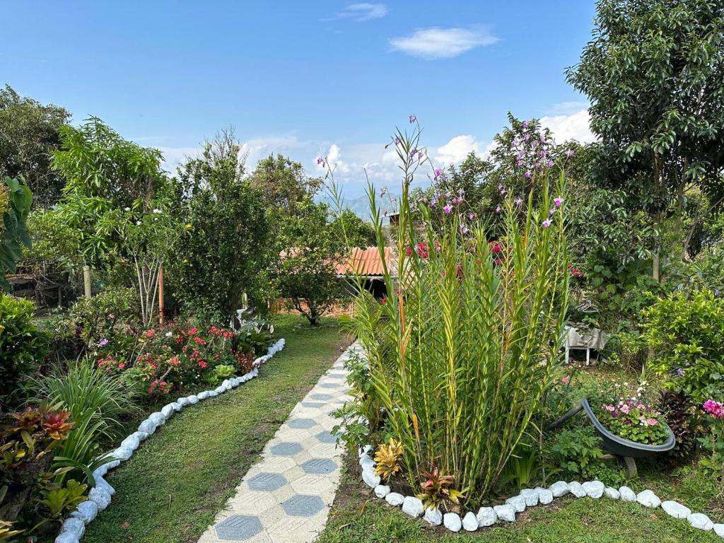 Zahrada ubytování Hostal posada San jose