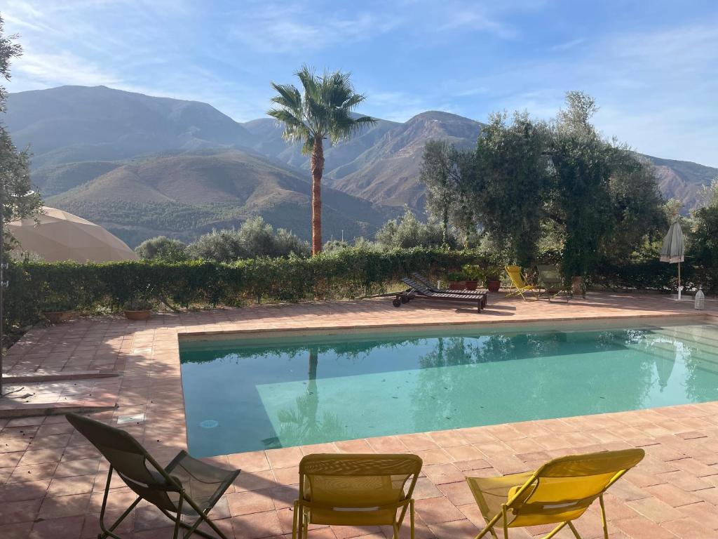 una piscina con sedie, una palma e montagne di Cortijo Tayula-Centro de Recuperación y Descanso a Granada
