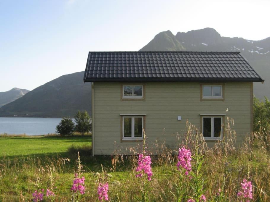 una pequeña casa en un campo con flores rosas en Charming house by the sea, Lofoten!, en Laupstad