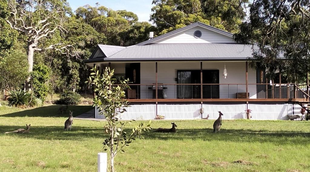 Agnes Chills, Agnes Water (updated prices 2024)