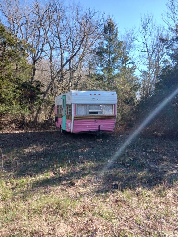 einem rosa und weißen Wohnwagen auf einem Feld in der Unterkunft Goin' Bonanza Glamping Ranch in Hardy