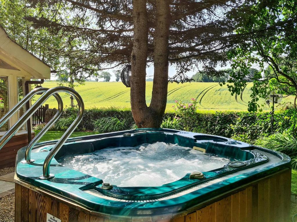 a hot tub in front of a tree at Rose Cottage in Slaley