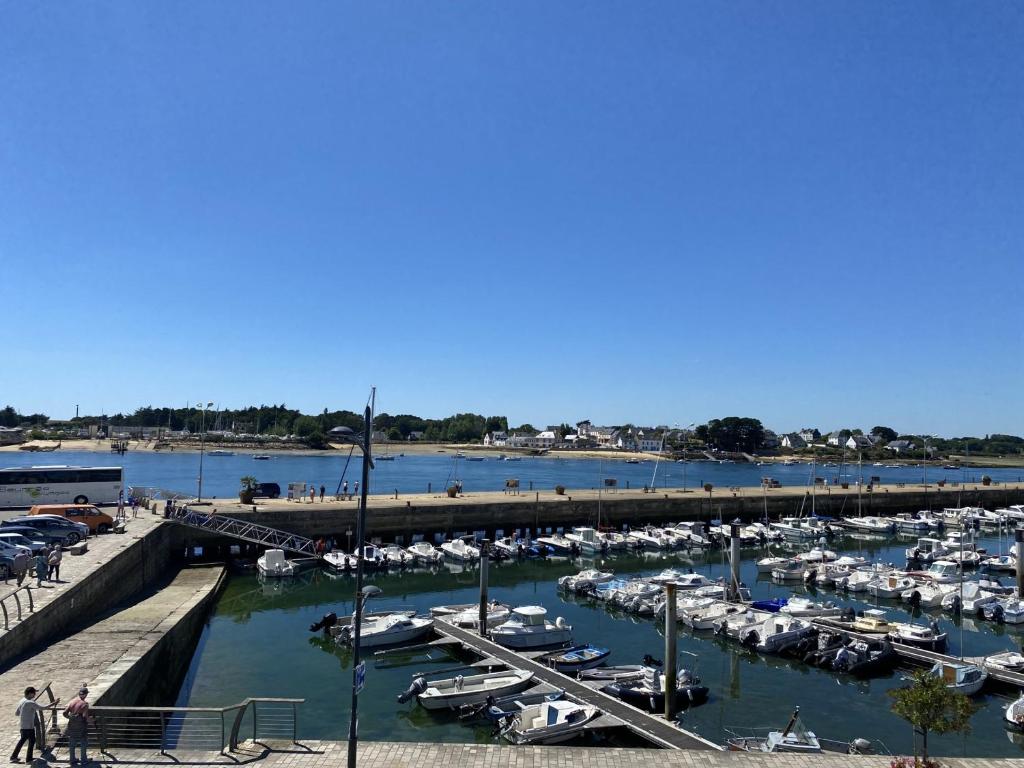 un port de plaisance avec des bateaux dans l'eau et une jetée dans l'établissement Appartement 1 pièce 35m² - Centre Étel - Vue port - 3 pers. - FR-1-397-51, à Étel