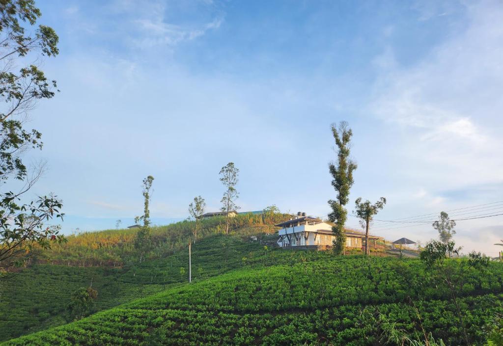 a house on the top of a tea plantation at Tranquil Ridge Hilltop Bungalow in Hatton