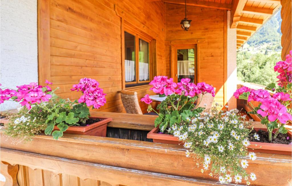 una veranda con fiori in vaso su una casa di Gemuetliche Ferienwohnung a Dalaas