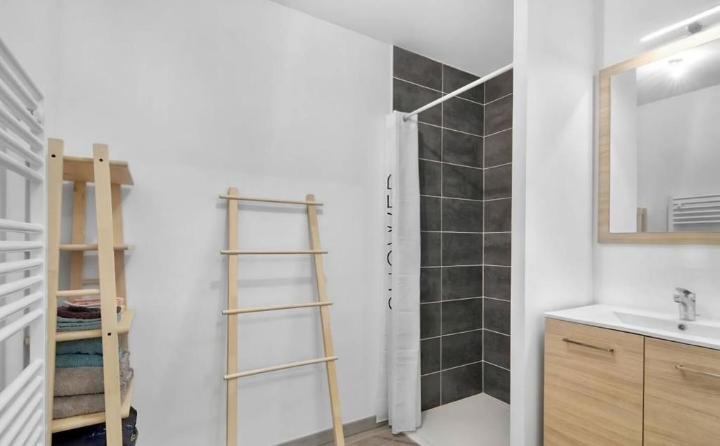 a bathroom with a ladder next to a shower at Le Lamartine - T3 dans un parc in Frouzins
