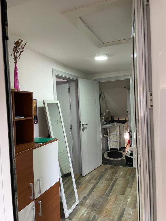 Kuchyň nebo kuchyňský kout v ubytování Delfin apartment