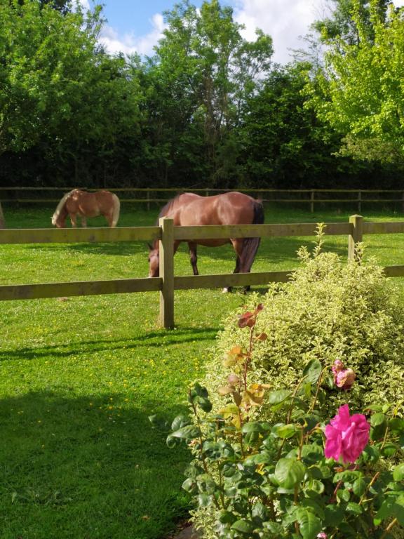 Sausseuzemare-en-CauxにあるLe Clos Marieのギャラリーの写真
