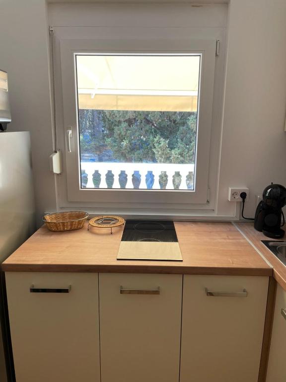 Kuchyň nebo kuchyňský kout v ubytování Apartman Tratica Ugljan