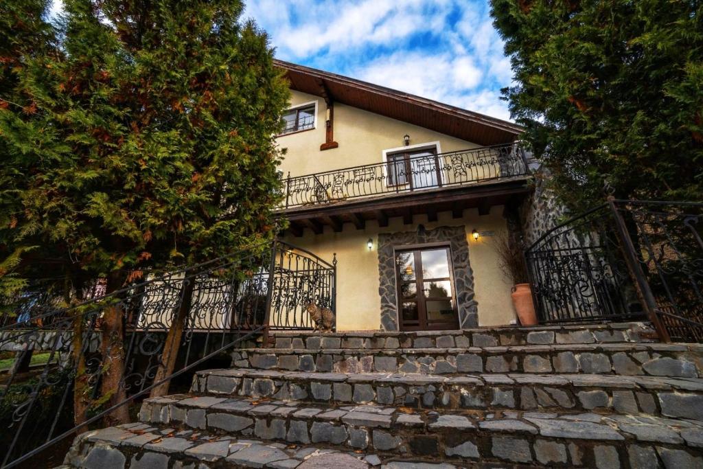 ダネシュにあるHanul din Padureの階段上の家