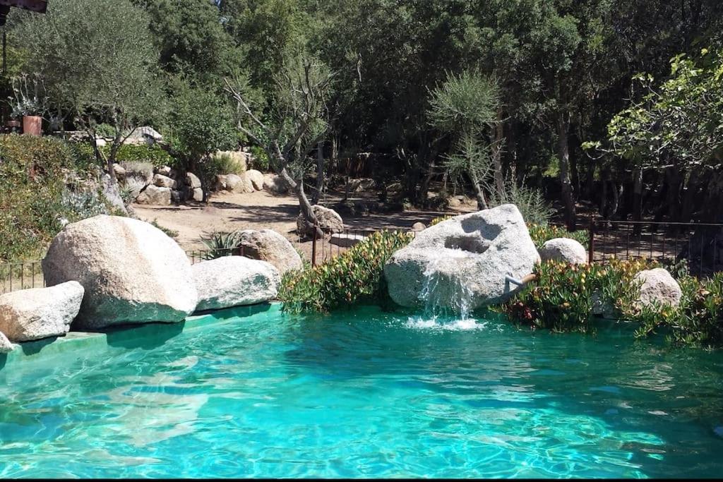 basen z kamieniami w ogrodzie w obiekcie Villa con piscina tra Porto vecchio e Bonifacio w mieście Figari