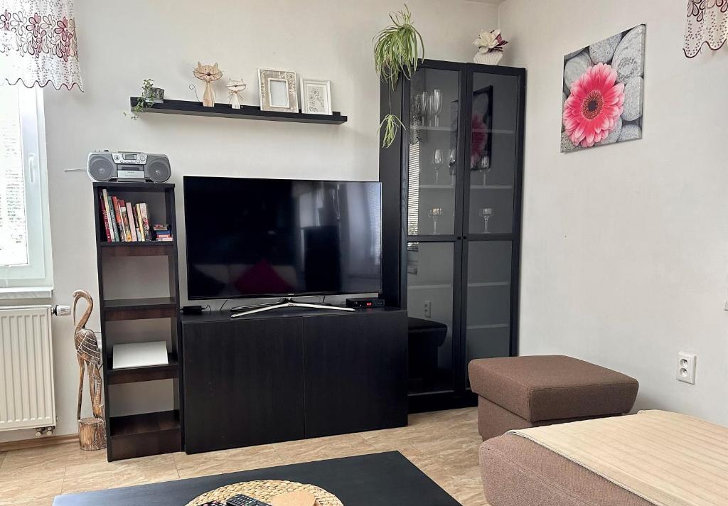 TV a/nebo společenská místnost v ubytování Apartment Boroví