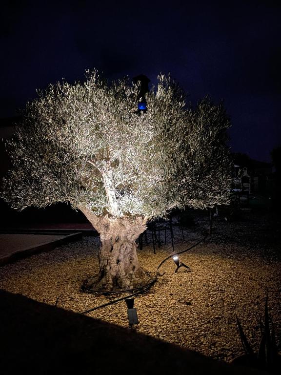 Fotografie z fotogalerie ubytování Villa Belle v destinaci Los Higuerales