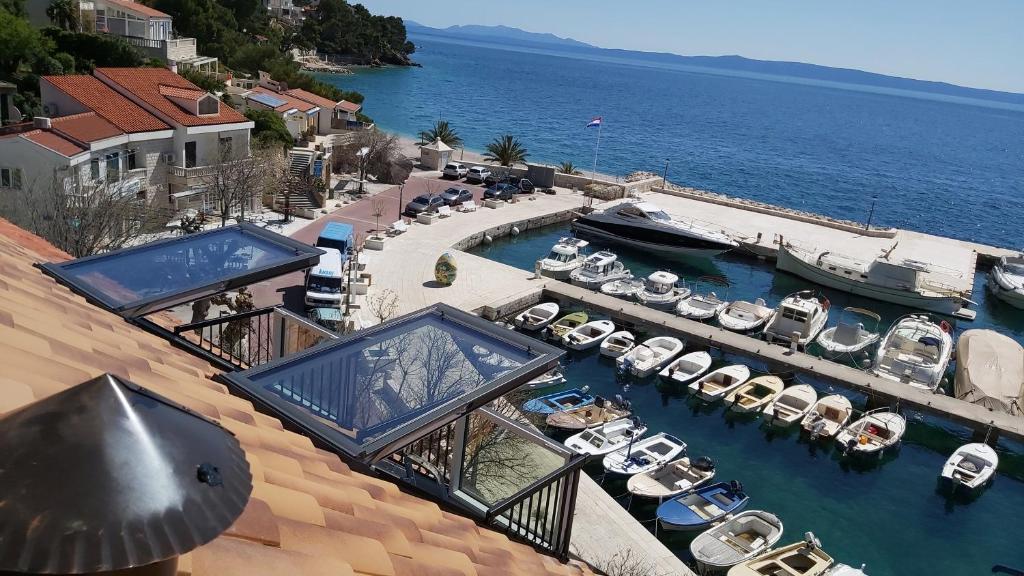 Príroda v okolí apartmánu