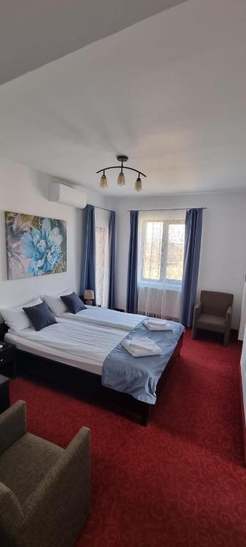 1 dormitorio con 1 cama grande y alfombra roja en RIA Room - Apartemente 9, en Băile Felix