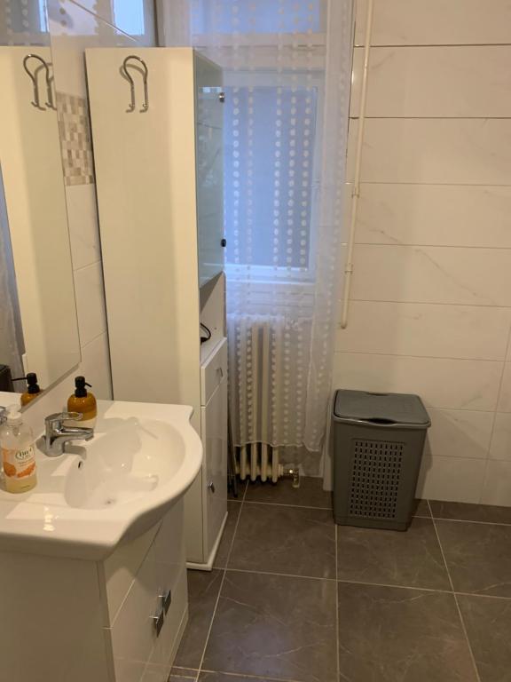 a bathroom with a sink and a mirror and a shower at Apartment Rose II in Zagreb