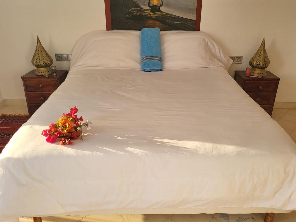 Una cama o camas en una habitación de Les Bains de Mirleft