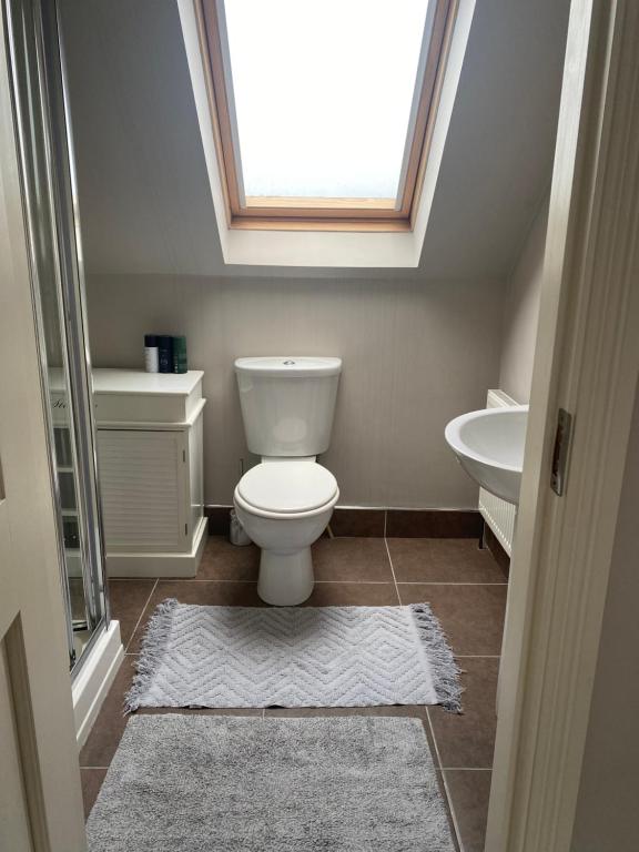 La salle de bains est pourvue de toilettes, d'un lavabo et d'une lucarne. dans l'établissement Private House, Wild Atlantic Way, Spanish Point Road, Miltown Malbay, à Miltown Malbay