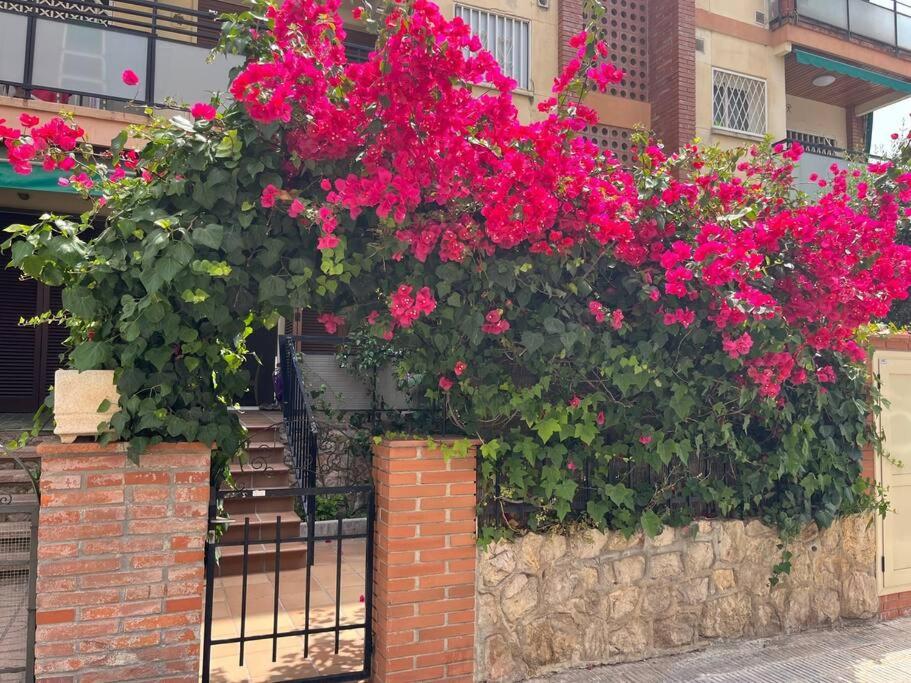 a bunch of pink flowers on a brick wall at Precioso Bajo en 2a línea de mar in Segur de Calafell