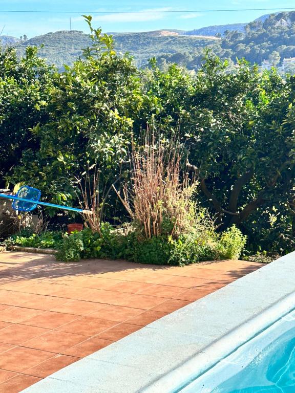 Chalet avec piscine et orangers, Valencia – Updated 2023 Prices