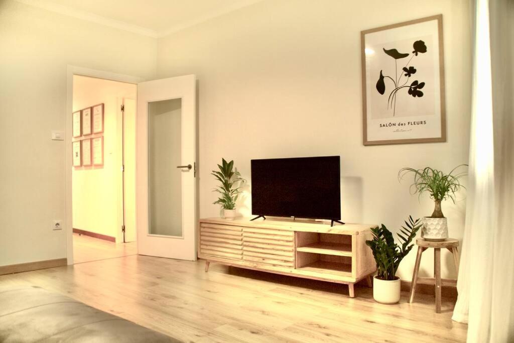 una sala de estar con TV de pantalla plana en un armario en Apartamento Brisas, en Moaña