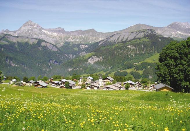 Příroda nedaleko apartmánu