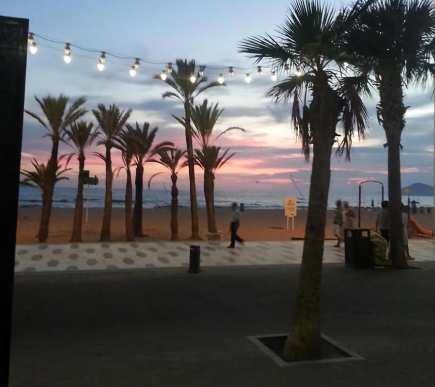 Fotografie z fotogalerie ubytování Gemelos Levante First Line v destinaci Benidorm