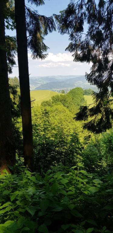 Příroda nedaleko penzionu – hostince
