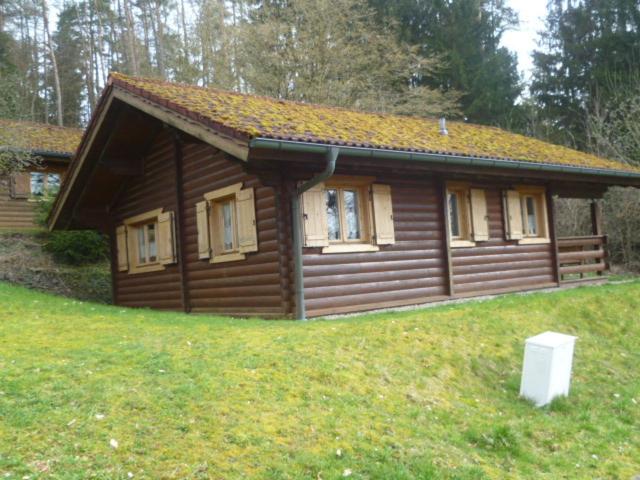 une petite cabane en bois dans un champ d'herbe dans l'établissement Ferienhaus Chalet Blockhaus Bayern, à Stamsried