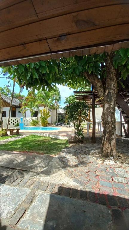 uma árvore sentada sob um pavilhão ao lado de uma piscina em Pousada Mares de Stella em Salvador