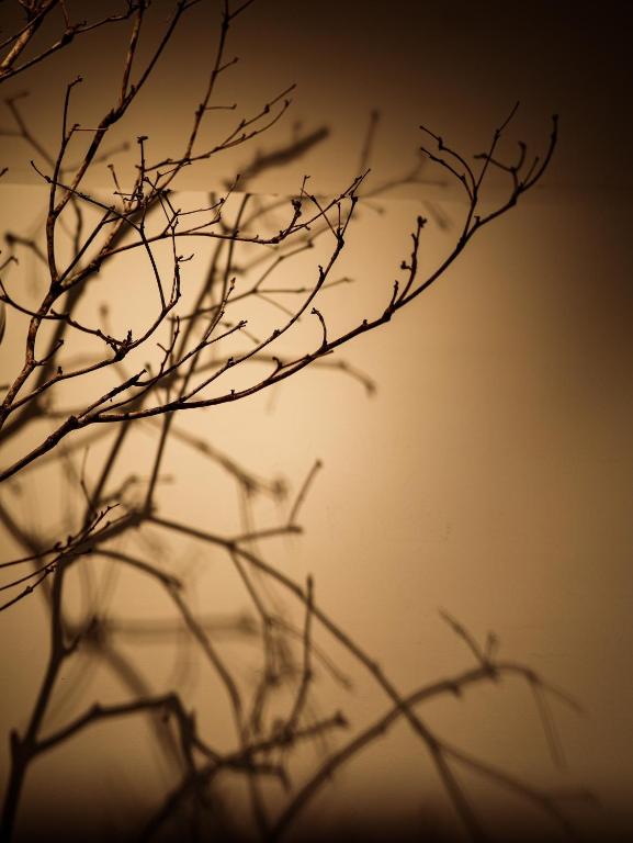 Fotografie z fotogalerie ubytování Soli Hospitale 宿里旅行舍 v destinaci Chua-lien