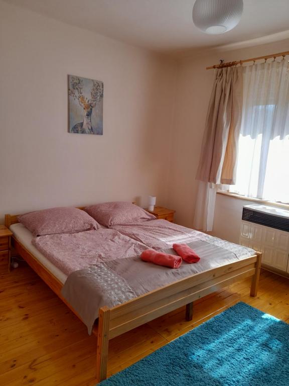 瑙吉伯爾熱尼的住宿－Börzsöny Aranya Vendégház，一间卧室配有一张带两个红色枕头的床