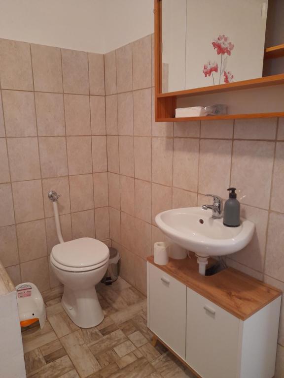 Kúpeľňa v ubytovaní Börzsöny Aranya Vendégház