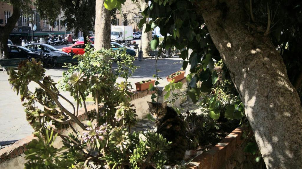 Zahrada ubytování affittacamere la loggia