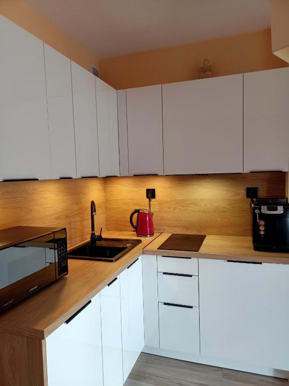 Kuchyňa alebo kuchynka v ubytovaní Nostalgiczne Kościelisko Apartament & SPA