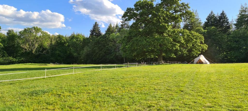 Zahrada ubytování Park Farm Holidays Glamping