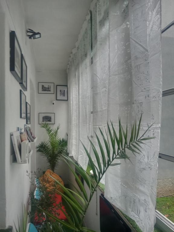 Kép Floris Guest House szállásáról Milánóban a galériában
